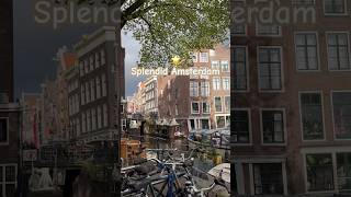 Splendid Amsterdam | #shortvideo #travel #explore #shorts #amsterdam #relaxing #beautiful #world