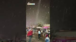 Mall Road Manali Live Snowfall❄️ | Himachal | #snowfall #snow #shorts