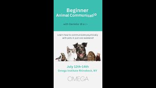 How to Get Better at Animal Communication #shorts