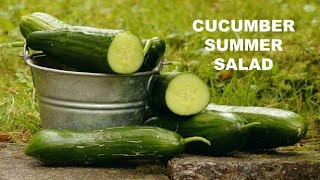 Summer Salad Recipes | Salad recipes with Cucumber | Cucumber salad for Weight loss | #shorts