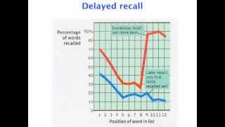 Serial position effect experiment - VCE Psychology