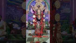 জয় maa kali #music #song #bollywood #shortvideo #kalipuja #kalimaa