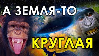 А Земля-то - шарообразная! Крах теории плоской Земли!