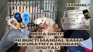 NGUKUR BOBOT BADAN DOMBA TANPA TIMBANGAN VS DENGAN TIMBANGAN DIGITAL, BEDA TIPIS!