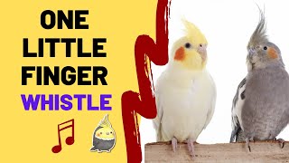 ONE LITTLE FINGER with WHISTLE - Whistling Songs For Birds - Cockatiel Sounds - Parrot Whistling