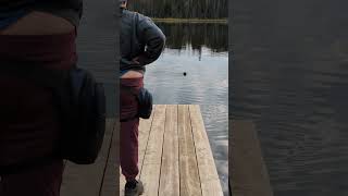 Otter greeting us at lake