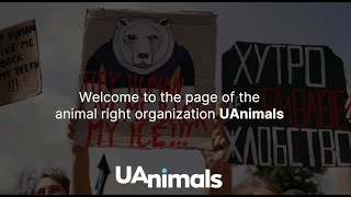 UAnimals: help us to rescue animals in Ukraine