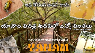 yanam mangrove forest || coringa wildlife sanctuary || Exploring the mystical yanam mangrove forest