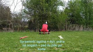 Trening bramkarski ,,w pojedynkę". - Ćwiczenie nr. VI