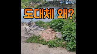 넌 도대체 왜?