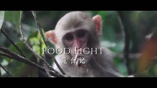 8)《这里是海南·秘境寻踪》第四季第八集《觅食记》Food Fight