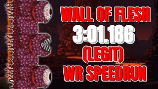 Terraria Wall of Flesh Speedrun in 3:01