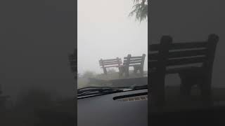 Fog #viral #trending #youtubeshorts #shortsfeed #shorts #shortsvideo #love #lovestatus