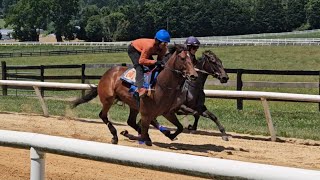 Divine Works and Rue de Mosel Tov breeze 3/8ths on 6/21.