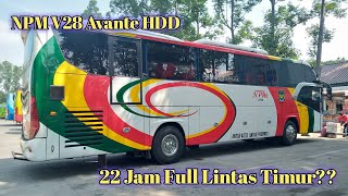 BUS NPM V28 AVANTE HDD DAN BUS TRANSPORT EXPRESS