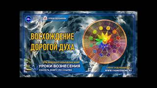 🌺 УРОКИ ВОЗНЕСЕНИЯ | Урок 19| Восхождение дорогой Духа   | Эль Михаил Небодонский | СЕлена |