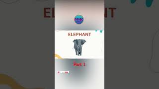 Learn Names of Animal - Lets Learn @mmkhansworld #ytshorts #shorts #shortsfeed #short #shortvideo