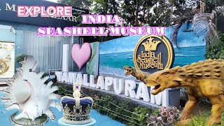 Seashell Museum  | largest seashell museum in India | Explore best seashell museum in TamilNadu