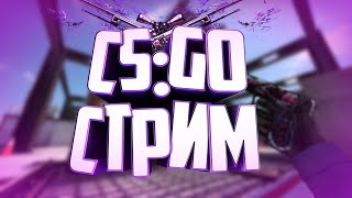 Возвращаем звание в CS:GO стрим / Стрим по КС / Прямая трансляция