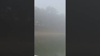 The fog monsters out there