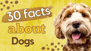 30 facts about dogs