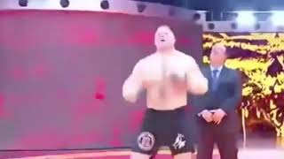 Wwe funny hindi dubbing