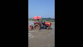 mahindra 245di 4wd  padding with Bengal rotavetor