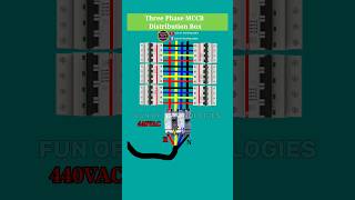 Three Phase MCB Distribution Board Animation #mccbanimation #electricalwiring