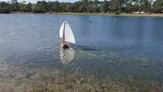 Morning skipjack sailing