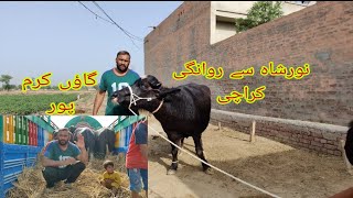 Noor shah se rawangi Karachi 03004576252 Okara Animal TV 1/5/2024