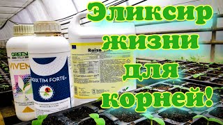 Стимуляторы корневой системы!