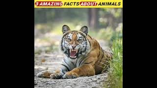 top 3 amazing facts about animals in hindi #youtubeshorts #ytshorts #factshort #shortvideo #shorts