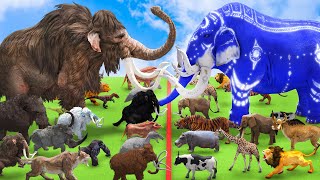 10 Mammoth Elephant Cow vs 10 Zombie Bull vs 10 Giant Tigers Fight Baby Cow Saved by Woolly Mammoth