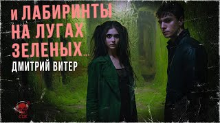 Как выйти отсюда?! И ЛАБИРИНТЫ НА ЛУГАХ ЗЕЛЕНЫХ | ССК