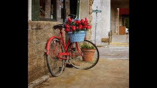 Ukraine ,Mykolaev ,Relaxing sunday            کوچه پس کوچه های اکراین