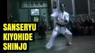 Uechi Ryu Sanseryu - Kiyohide Shinjo Futenma Dojo