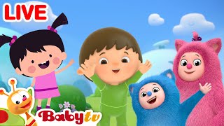 🔴 BabyTV LIVE! 😃 Kinderliedjes en kindertekenfilms | Volledige afleveringen | Video's voor kinderen