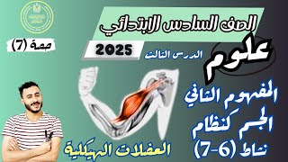 الدرس الثالث علوم الصف السادس الابتدائي الترم الاول 2025 مفهوم الجسم كنظام  نشاط 6-7 شرح جديد وافي