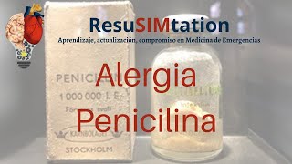 Perla Infectología Alergia Penicilina