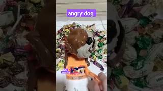 Scary dog  eating candies #asmr #trending #viral #satisfying #happy #short #short #friends