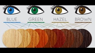 Best Hair Color for Green Eyes | How To Choose The Right Hair Color -  WhynotReviews