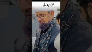 Murshid Poetry #ishqemurshid #youtubeshorts #sajjansain #AlislahTV