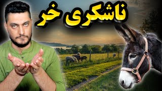 ناشکری خر : داستان و حکایت جالب ناشکری خر 🐴