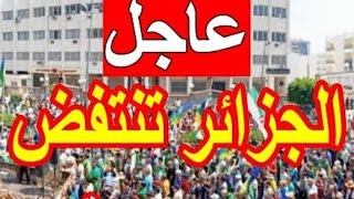 الجزائر العاصمة تنتفض في مسيرة هائلة الحراك يعود