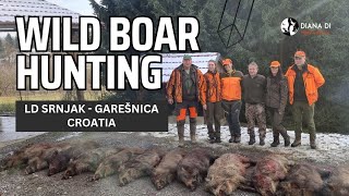 Wild Boar Hunting - Croatia - LD Srnjak - Garešnica