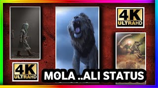 Mola Ali Status || 10th Muharram Status || #shorts #molaali