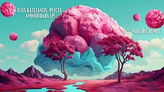 Ilias Katelanos, Plecta - Ammoudara (Original Mix)