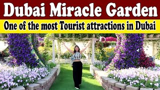 Dubai Miracle Garden is one of the most Tourist attractions in Dubai