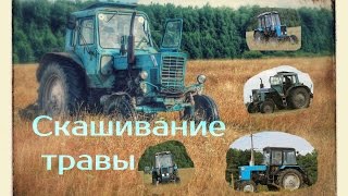 Скашивание травы.МТЗ 82.1 & МТЗ 80