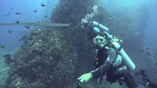 Рыба-свистулька | Selfie with Cornetfish at Richelieu Rock | Diving the Surin Marine Park, Thailand